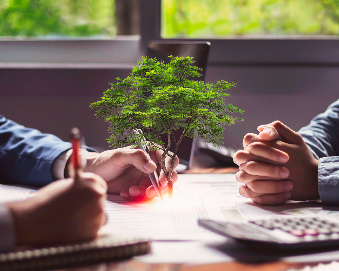 L’éco-comptabilité : l’environnement dans vos bilans